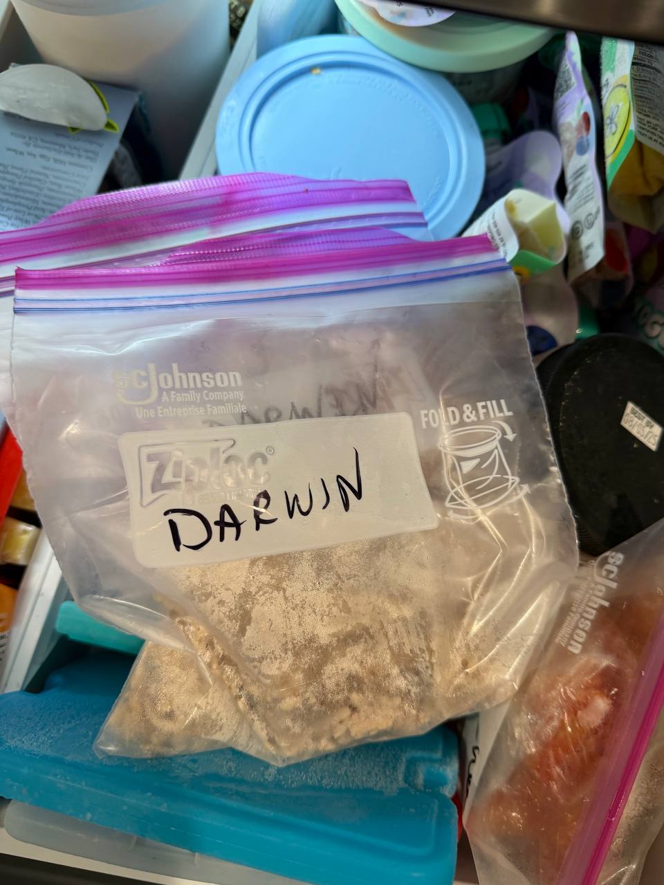 Frozen chicken bag marked Darwin