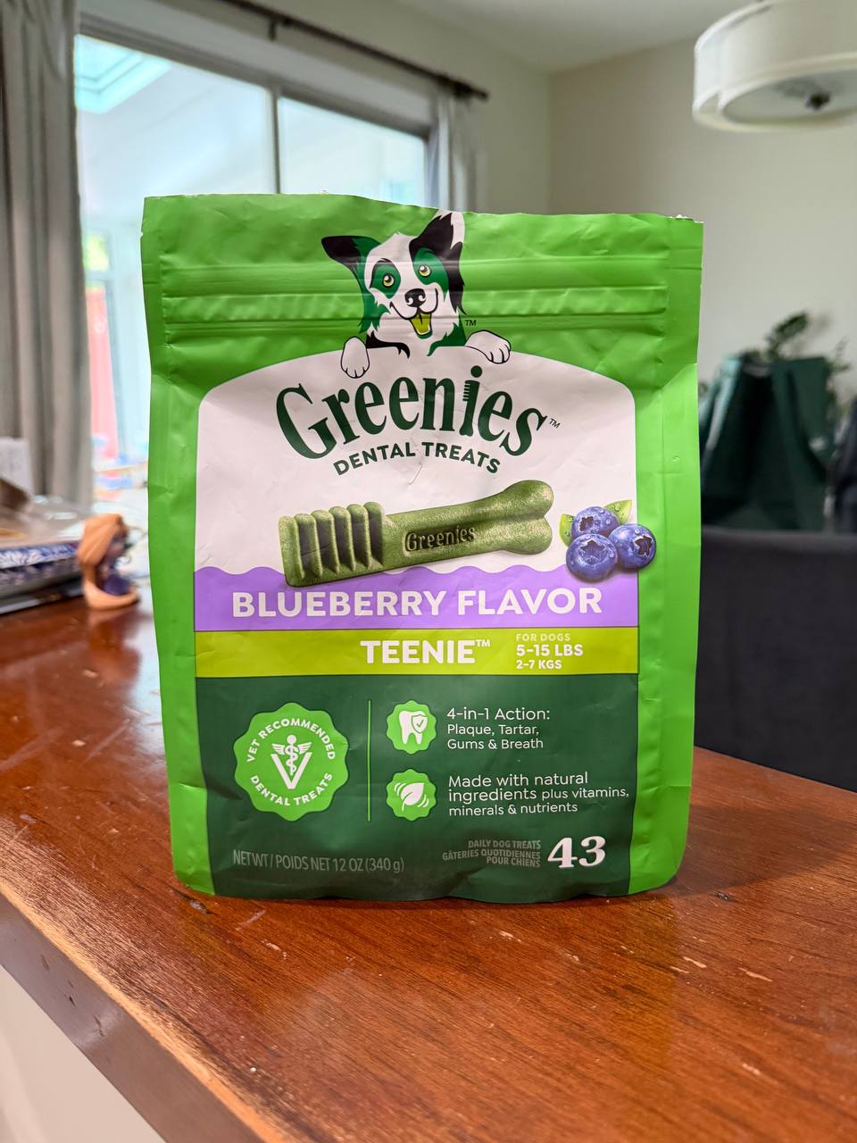 Greenies blueberry flavor teenie dental treats bag