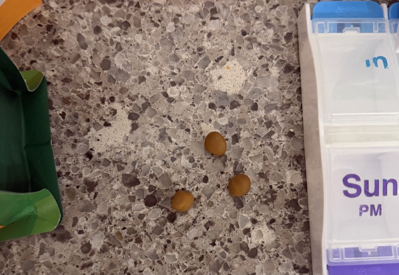 Medicine wrapped in Greenies pill pockets